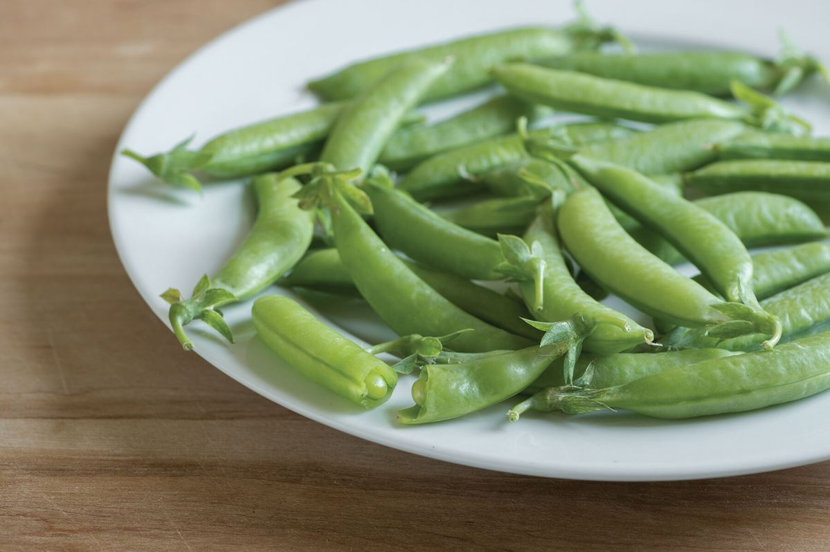 Sugar Ann – Pea Seed